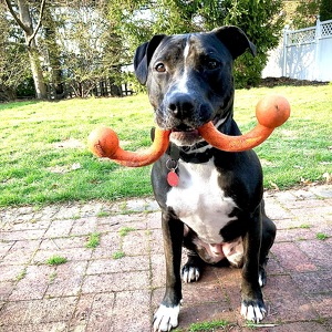 Fundraising Page: Margot PAC Alum